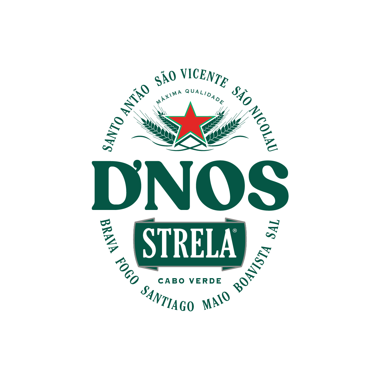 STRELA_DNOS-1