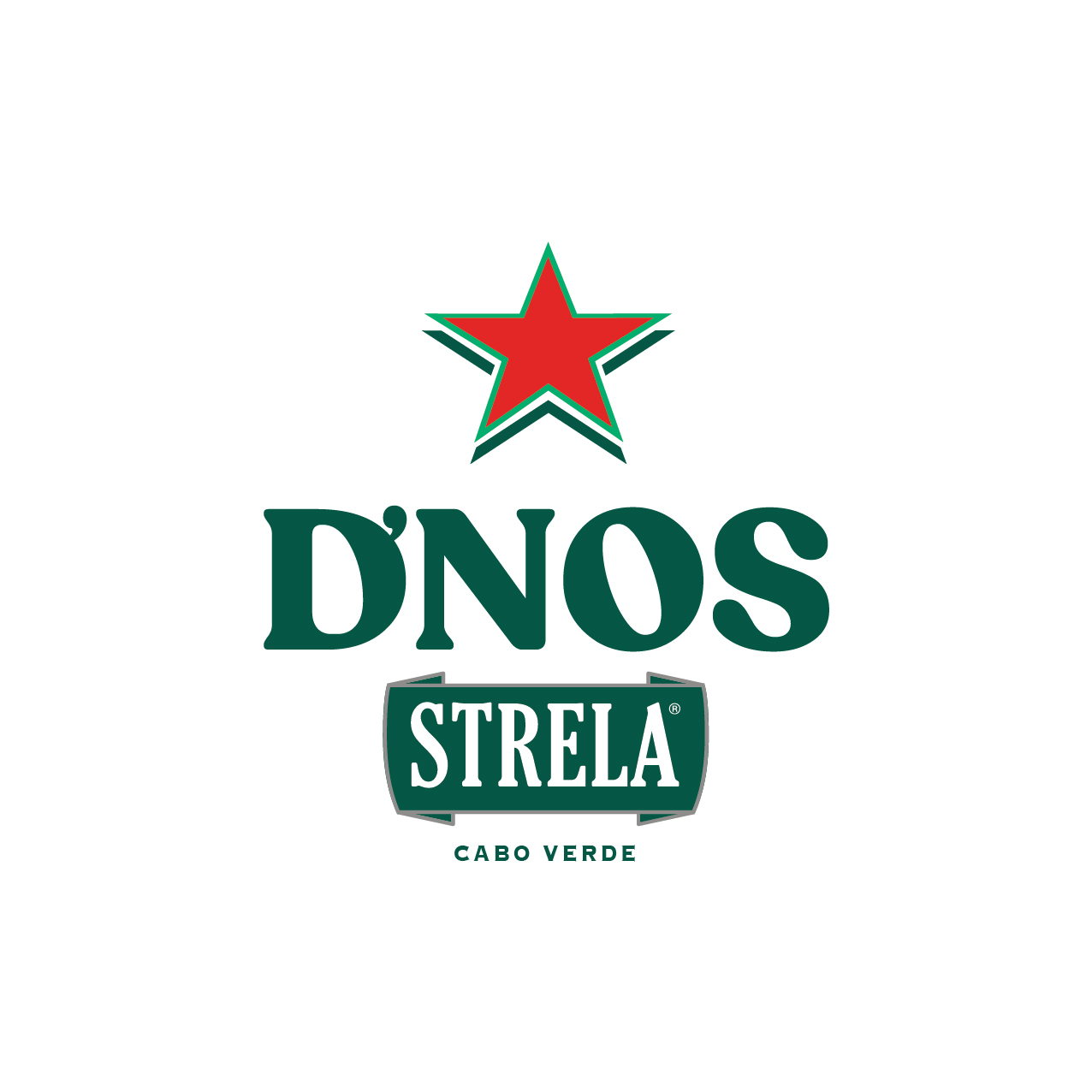 STRELA_DNOS-4