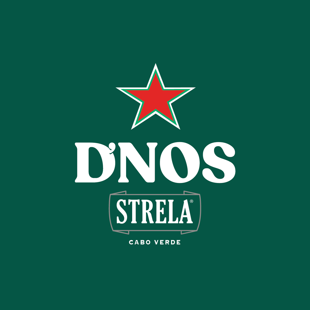 STRELA_DNOS-6